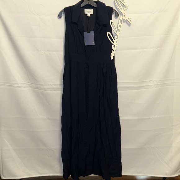 POMANDER PLACE
Navy Sleeveless Noelle Maxi Dress - Picture 6 of 11